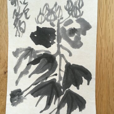 ポストカード 水墨　芙蓉