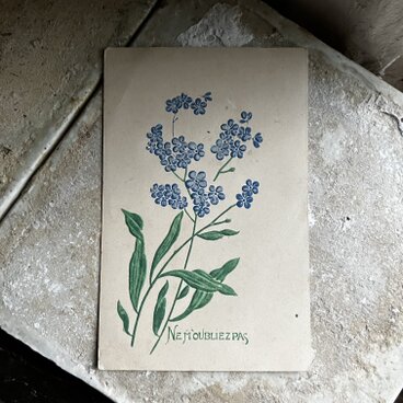 フランス　アンティーク　ポストカード　勿忘草