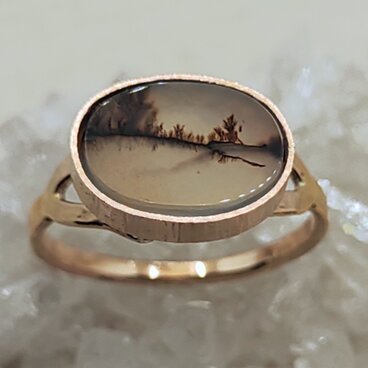 自然が撮ったセピア写真