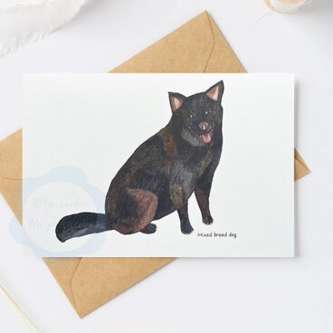 （62）ミックス犬シリーズc　ポストカード　3枚セット