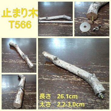 止まり木（枝：TOY-08-015）T566