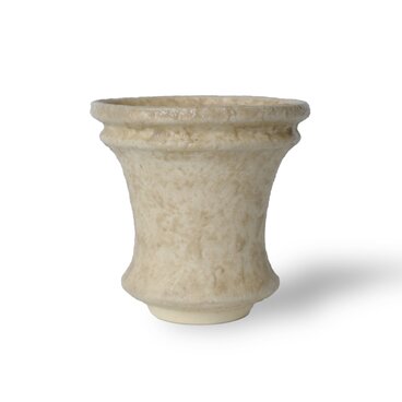 パルバコステリッチオ / M / 現代色（鉢・プランター）