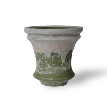 パルバコステリッチオ / M / 現代色（鉢・プランター）