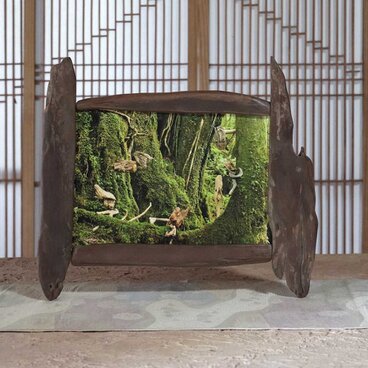 流木フォトスタンド　写真額　写真立て　木の額　　流木アート　木のインテリア　ナチュラルアート　１０６