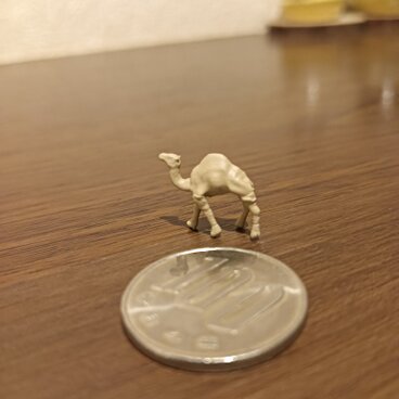 1/220 ラクダさん　１頭売り！