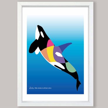 色彩のシャチ　送料無料 　イラスト　A4〜A0　ポスター　アートポスター　アート/sei検索新着順　3829
