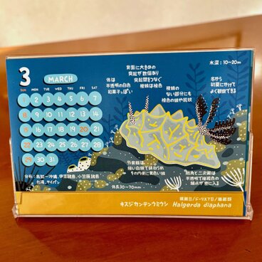 2026ウミウシ図鑑カレンダー