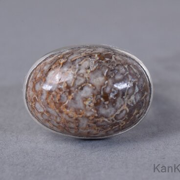 ダイナソーボーンフォッシルのリング