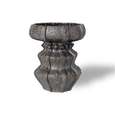 雷花・Raika / 残雪（鉢・プランター）