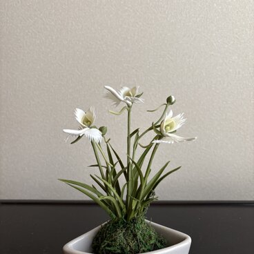 粘土の花　サギソウ