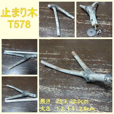 止まり木（枝：TOY-08-015）T578