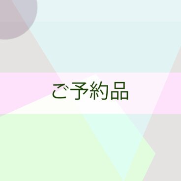 Mさまご注文品　手帳カバー/文庫本/A6サイズ/ほぼ日手帳/ブックカバー