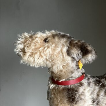 シュタイフ　テリア　クラッシックシリーズ