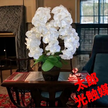 光触媒　人工観葉植物　ウォールグリーン　フェイクグリーン　お供え花胡蝶蘭806