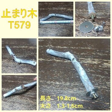 止まり木（枝：TOY-08-015）T579