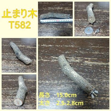 止まり木（枝：TOY-08-015）T582