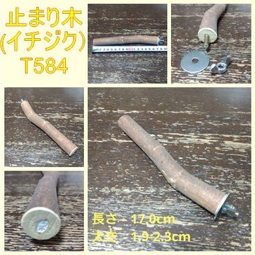 止まり木（枝：TOY-08-015）T584