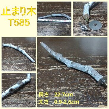止まり木（枝：TOY-08-015）T585