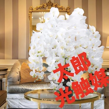 光触媒　人工観葉植物　ウォールグリーン　フェイクグリーン　フレッシュロング胡蝶蘭７本立Ｗ