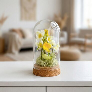 【季節の花】ビオラのガラスドーム  S 母の日 spring