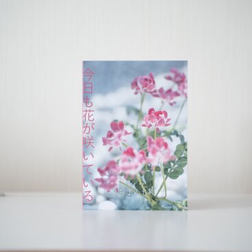 今日も花が咲いている