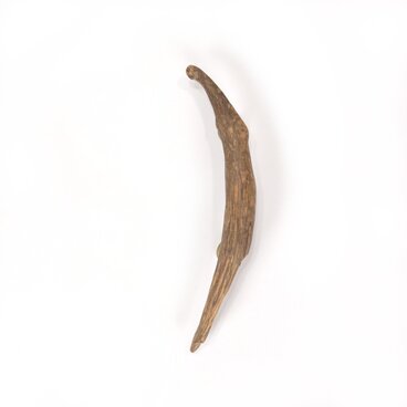 【温泉流木】三日月型にカーブする上質流木のドアハンドル・手すり 木製 自然木 流木インテリア