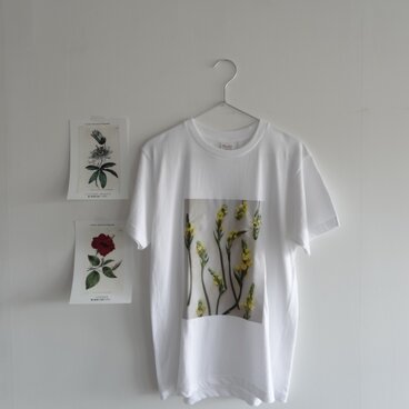 フラワープリントTシャツ"Ornithogalum"