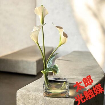 光触媒　人工観葉植物　ウォールグリーン　フェイクグリーン　マジカルウォーター　カラー