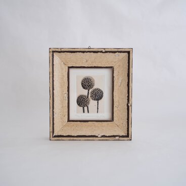 銅版画 "billy buttons"（ミニ額）