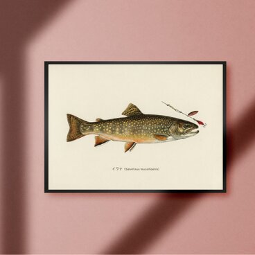イワナ 岩魚トラウト アメマス ビンテージ ルアーフィッシング 釣り アウトドア ガレージ 雑貨 A4アートポスターのコピー