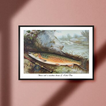 【渓流と岩魚】イワナ トラウト ビンテージ ルアーフィッシング 釣り アウトドア ガレージ 雑貨 A4アートポスターのコピー