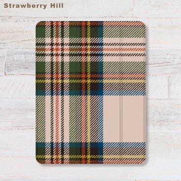 タータンチェック   iPadケース ペン収納 軽量 背面クリア あいぱっどけーす スタンド機能