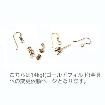 14kgf(ゴールドフィルド)金具変更依頼ページ