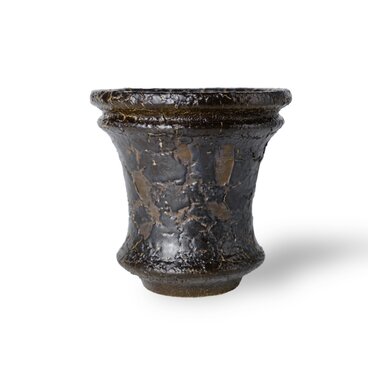 パルバコステリッチオ / M / 黒鰐（鉢・プランター）