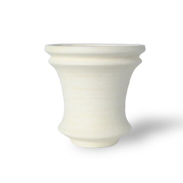 パルバコステリッチオ / M / 結晶石（鉢・プランター）