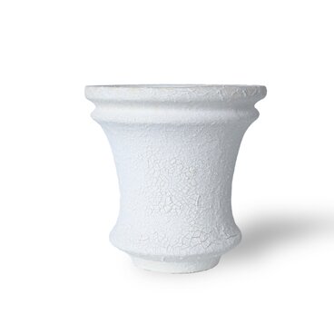 パルバコステリッチオ / M / ヒビ白（鉢・プランター）