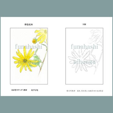 ハガキにスケッチしましょう　キクイモ