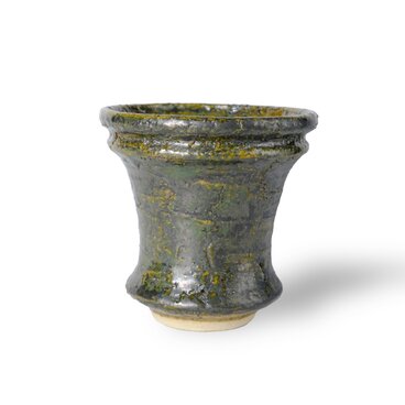 パルバコステリッチオ / M / 亀裂碧層（鉢・プランター）