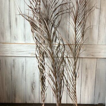 SALE★在庫入れ替えセールアレカヤシ3本セット ドライフラワー花材