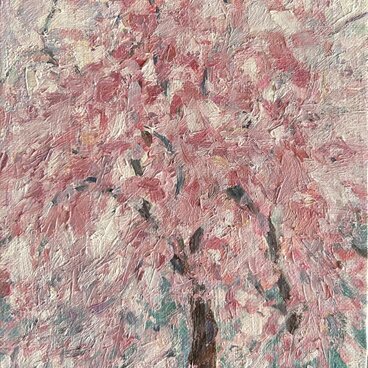 桜咲く(油絵、原画、0号、キャンバス、額なし)