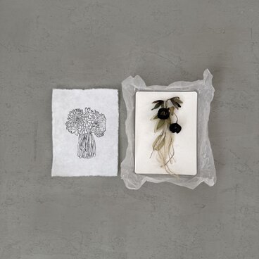 『クリスマスローズ。。。』