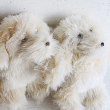 手乗りのイエティ クリーム