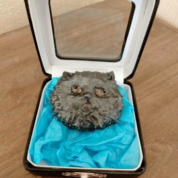 千夜一夜の来訪者ー闇の魔術師の肖像