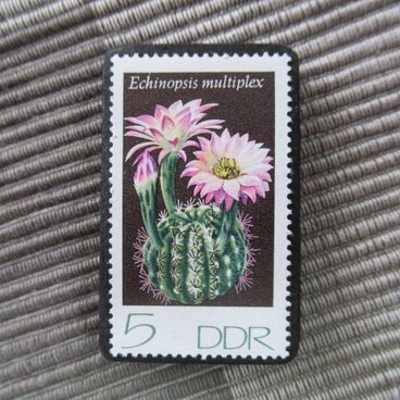 ドイツ　サボテンの花切手ブローチ10830