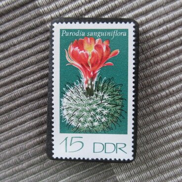 ドイツ　サボテンの花切手ブローチ10832