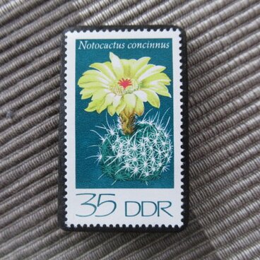 ドイツ　サボテンの花切手ブローチ10835