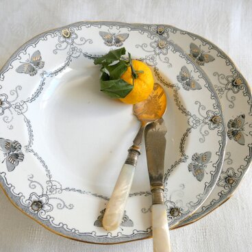 スウェーデン【Rorstrand/ロールストランド】Fjaril 蝶の絵柄 ディナー・スープ皿 2枚セット