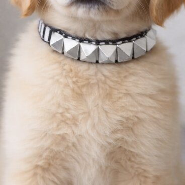 【一点物】犬用首輪　シルバースタッズ ストライプ首輪　子犬　小型犬　中型犬　お出かけ用　撮影用