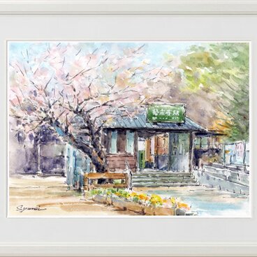 水彩画原画　桜・江ノ電極楽寺旧駅舎　＃726