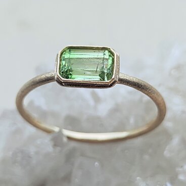 bicolor garnet＊K10 ring